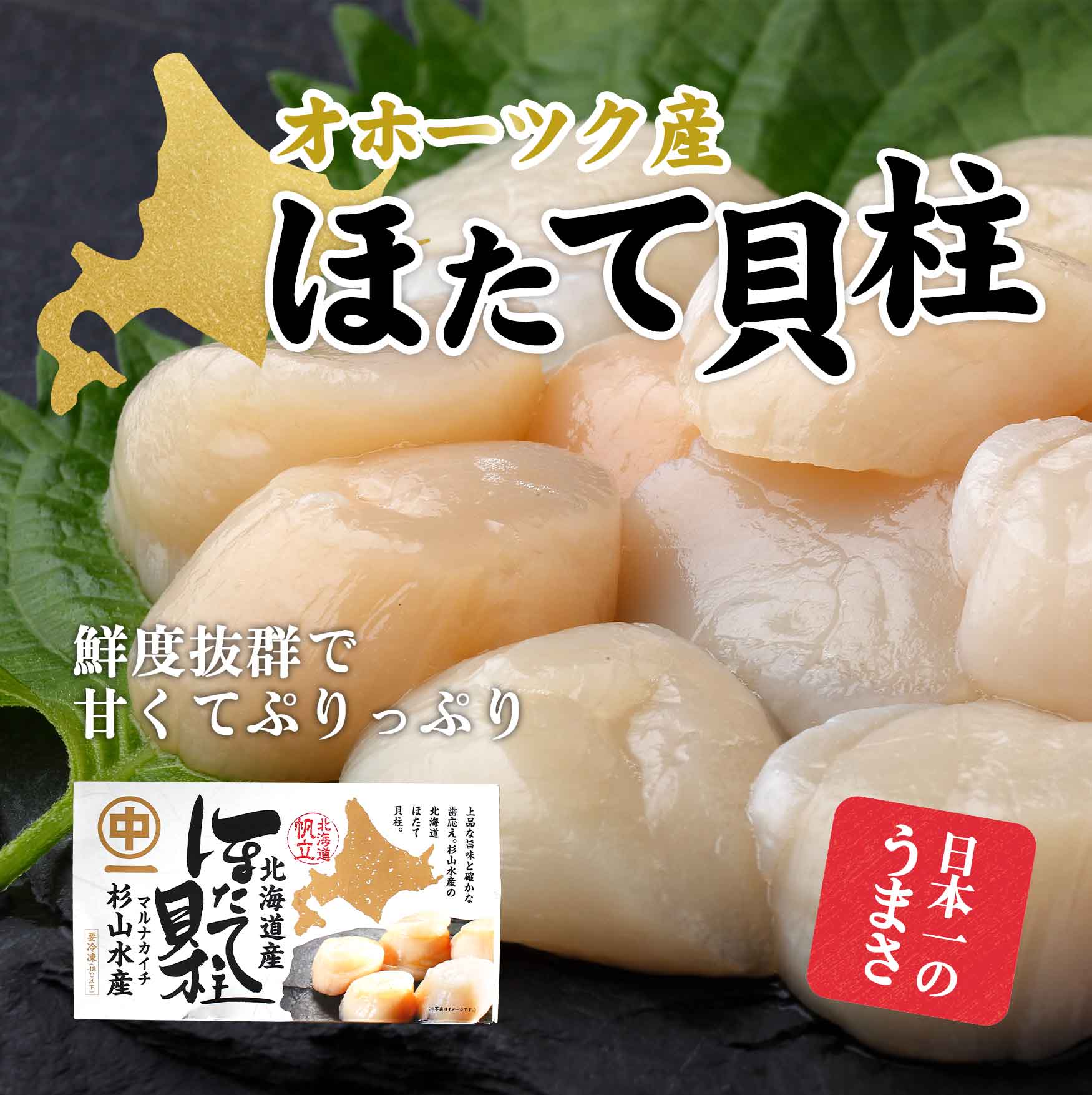 ホタテ貝柱（化粧箱入り）500g