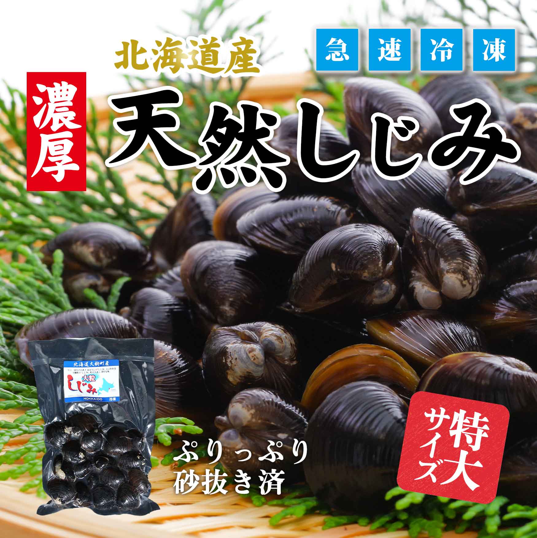 大粒しじみ