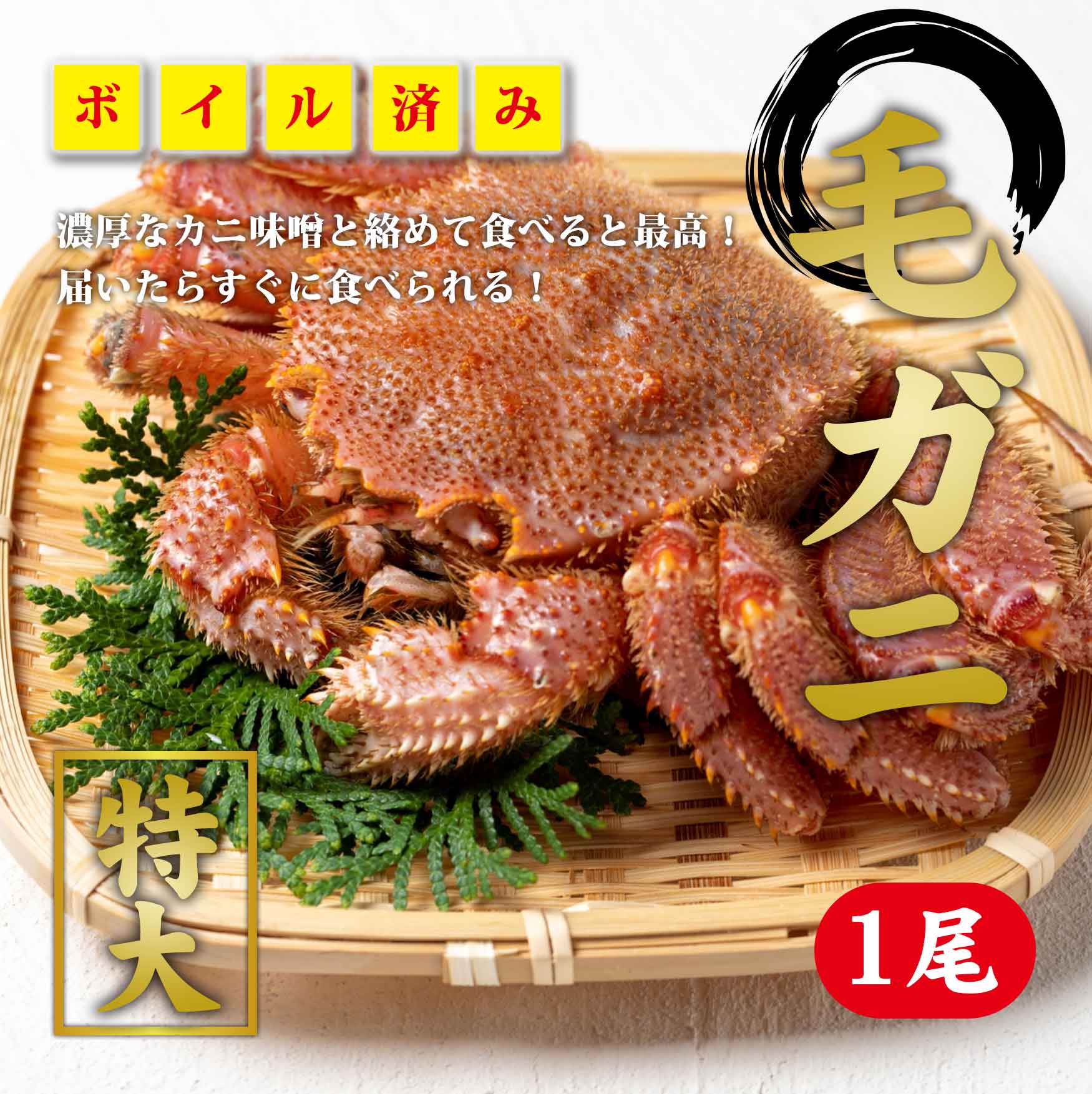 毛ガニ　1尾（※同梱不可商品）