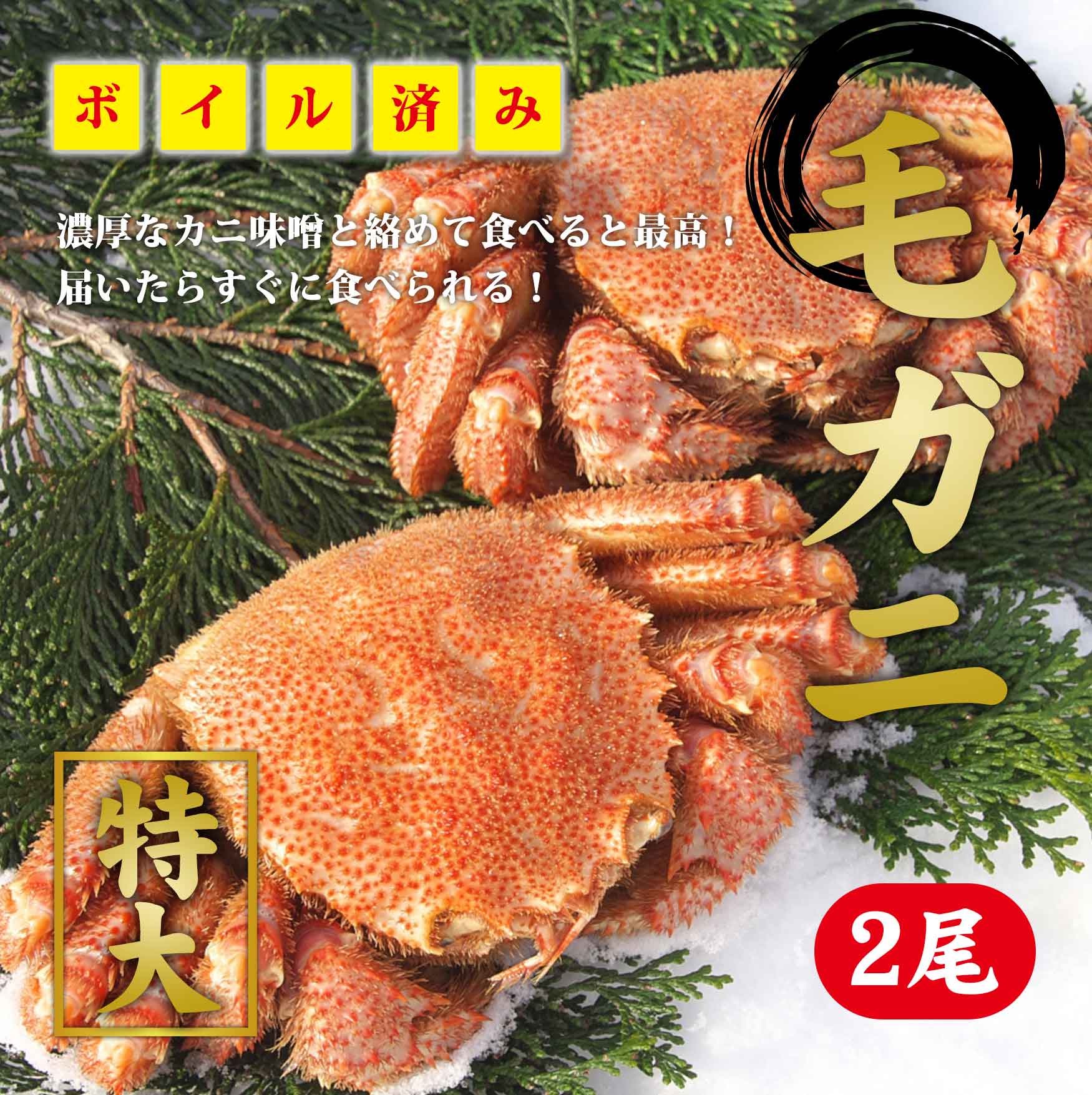 毛ガニ　2尾（※同梱不可商品）