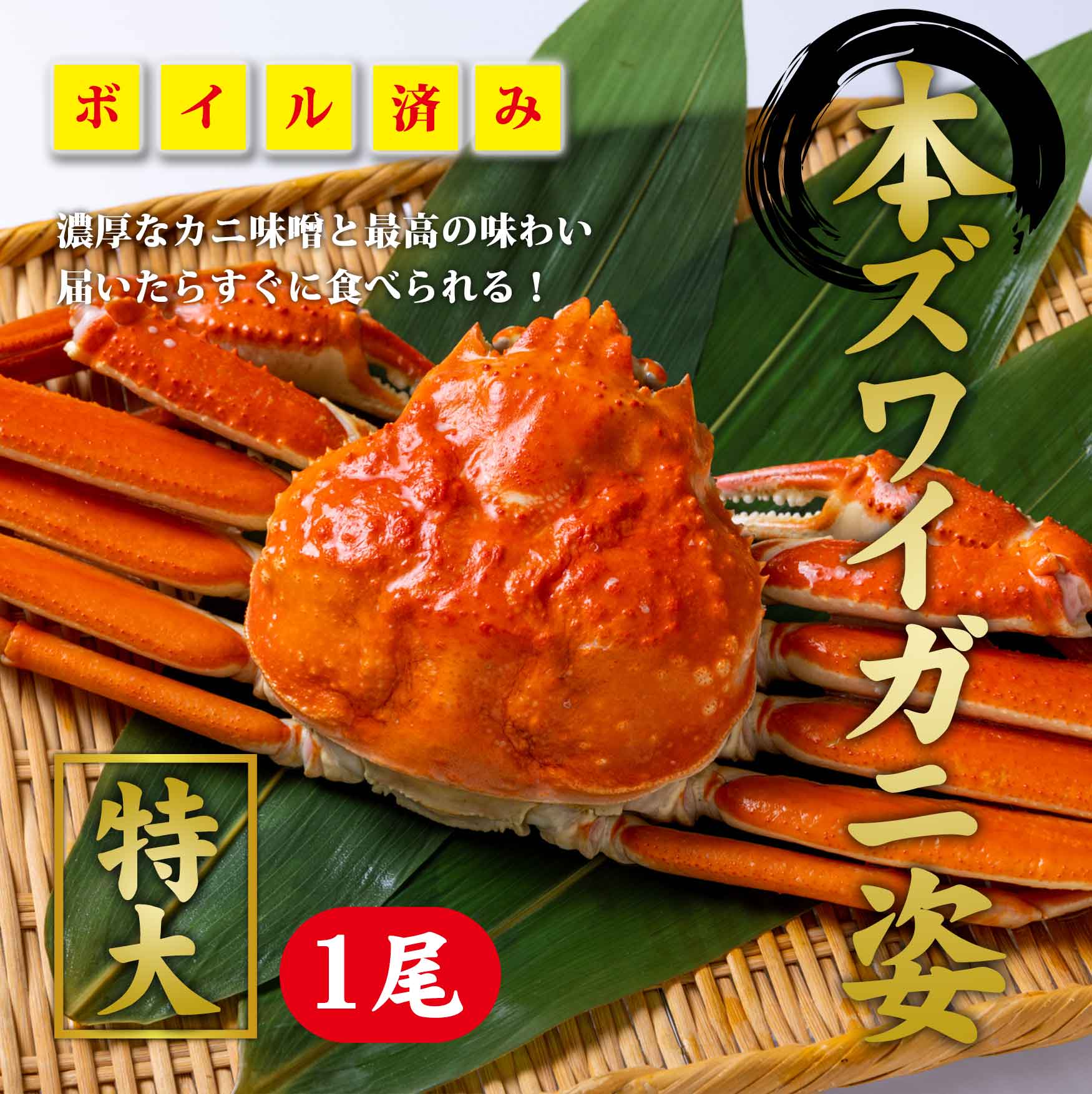 本ズワイガニ　姿　1尾（※同梱不可商品）