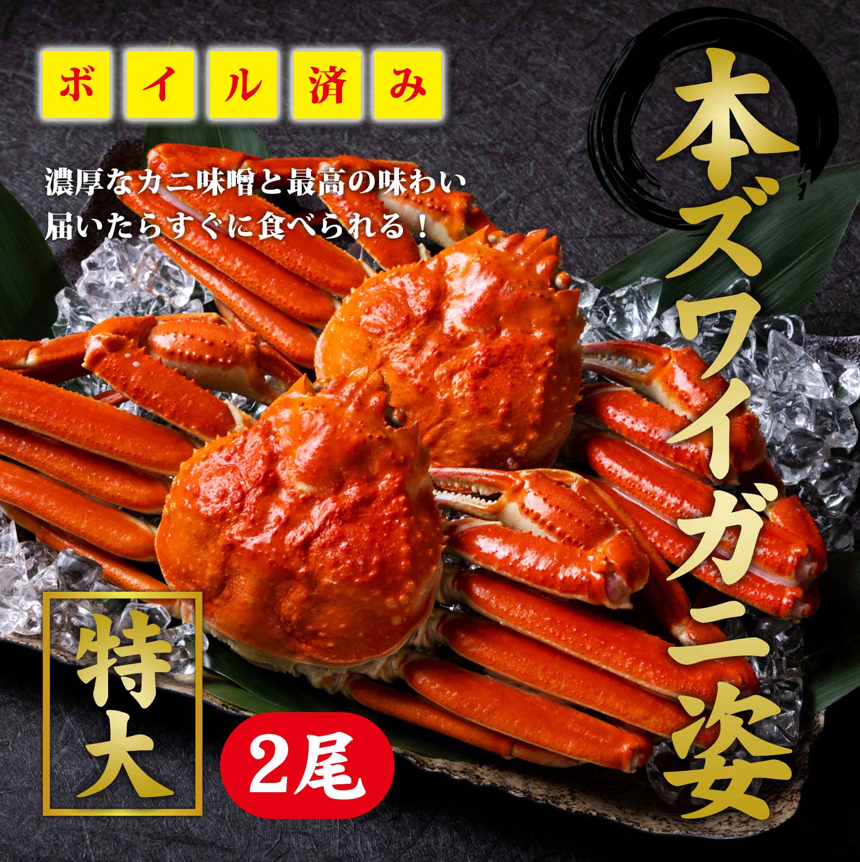 本ズワイガニ　姿　２尾（※同梱不可商品）