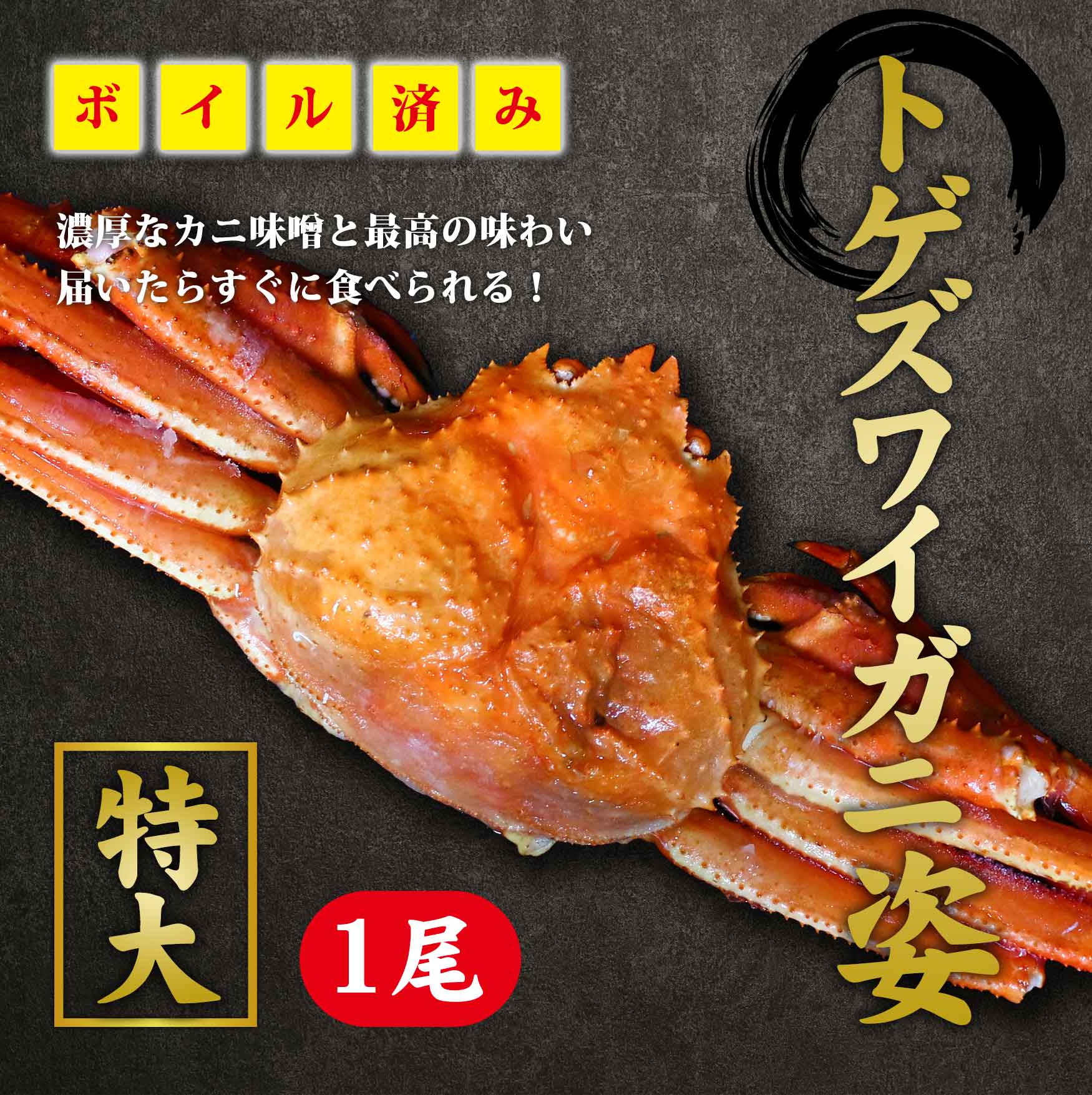 トゲズワイガニ 姿1尾（※同梱不可商品）