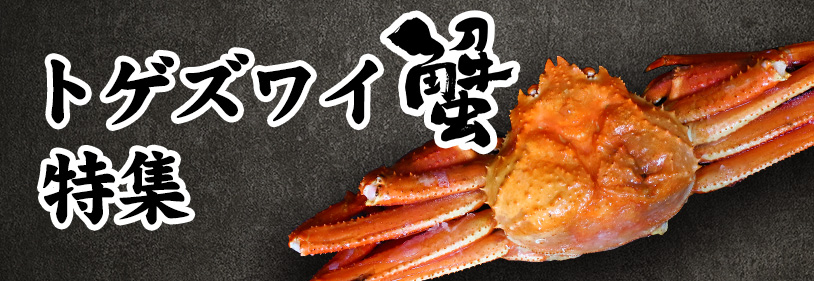 海鮮通販　トゲズワイガニ