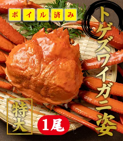 お取り寄せ通販